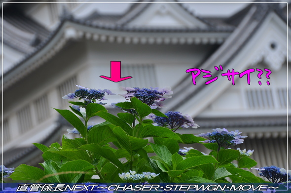 「千葉市郷土博物館へ」 直管係長NEXT〜CHASER・STEPWGN・MOVE〜