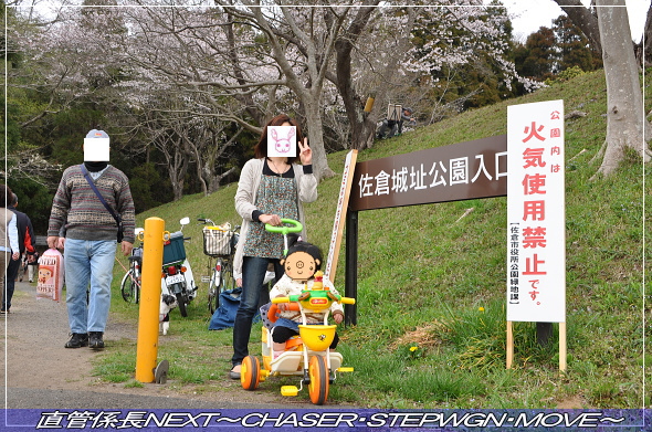 「近場の桜を見に行こうぜツアー!」 直管係長NEXT〜CHASER・STEPWGN・MOVE〜