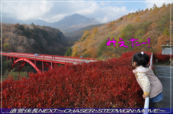 「紅葉高原ドライブ・2日目」 直管係長NEXT〜CHASER・STEPWGN・MOVE〜