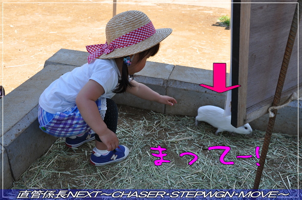 「成田ゆめ牧場へ」 直管係長NEXT〜CHASER・STEPWGN・MOVE〜