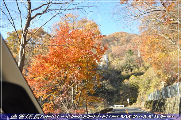 「紅葉の軽井沢、アウトレットへ」 直管係長NEXT〜CHASER・STEPWGN・MOVE〜