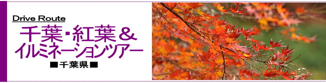 千葉・紅葉&イルミネーションツアー