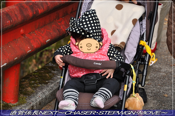 「千葉・紅葉&イルミネーションツアー」 直管係長NEXT〜CHASER・STEPWGN・MOVE〜