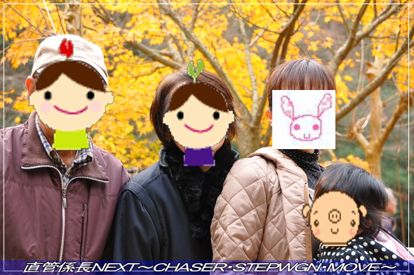 「千葉・紅葉&イルミネーションツアー」 直管係長NEXT〜CHASER・STEPWGN・MOVE〜